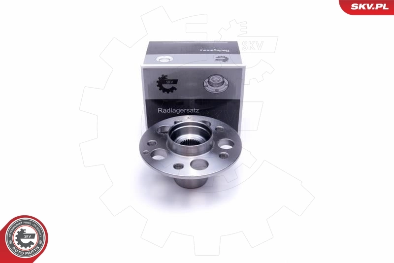 Wheel Bearing Kit